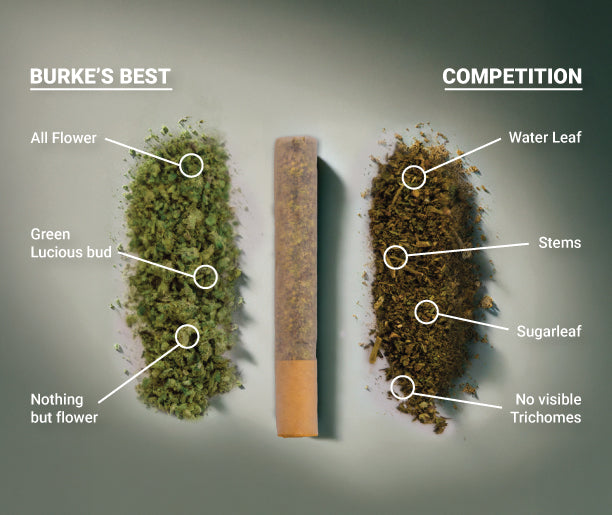 What's Really in Your Preroll?