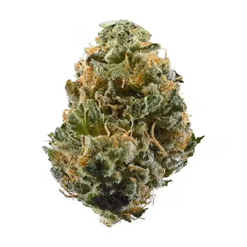 Space Cake