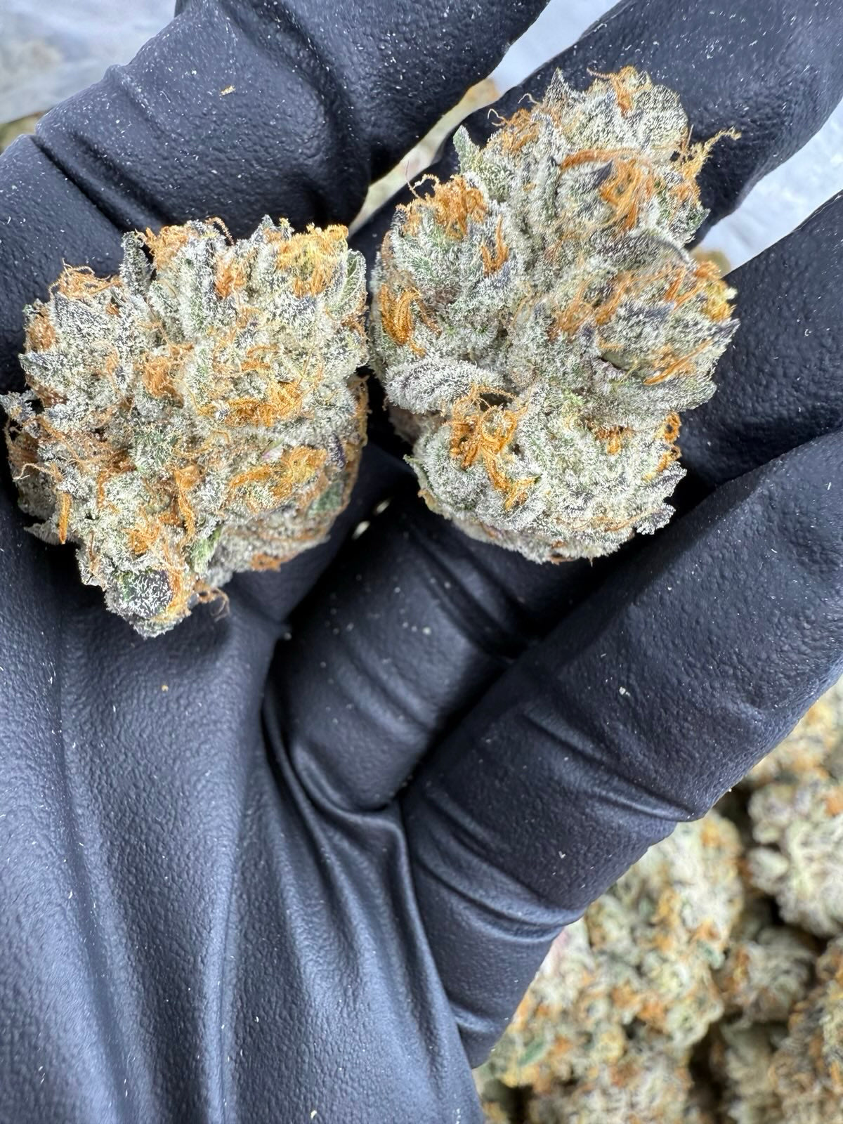 Triple Cake